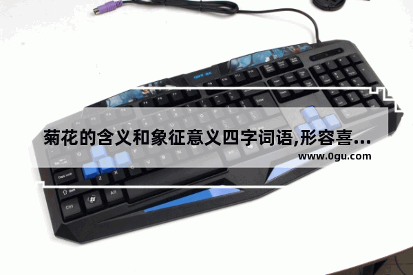 菊花的含义和象征意义四字词语,形容喜欢菊花的成语句子