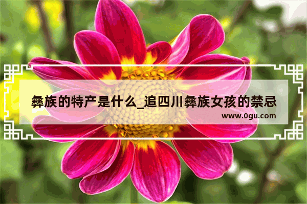 彝族的特产是什么_追四川彝族女孩的禁忌