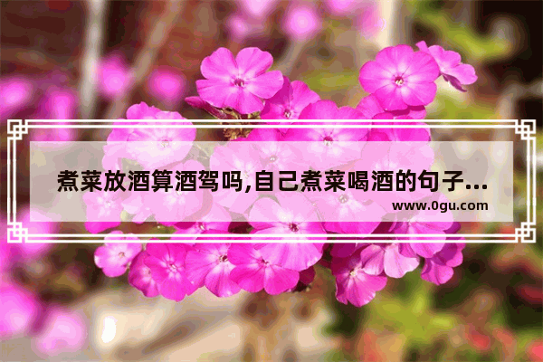 煮菜放酒算酒驾吗,自己煮菜喝酒的句子搞笑
