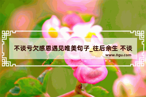 不谈亏欠感恩遇见唯美句子_往后余生 不谈遇见 不负亏欠。是什么意思啊
