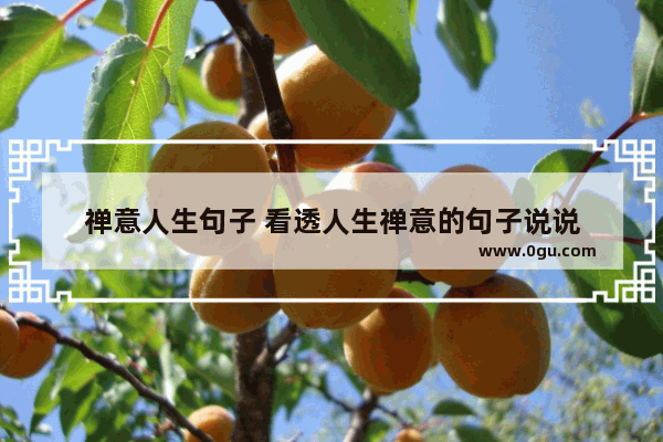禅意人生句子 看透人生禅意的句子说说