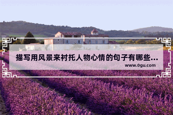 描写用风景来衬托人物心情的句子有哪些 喜欢同样的风景的人的句子