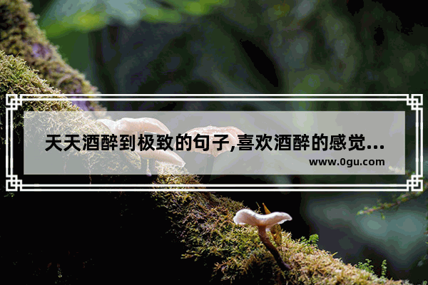 天天酒醉到极致的句子,喜欢酒醉的感觉的句子短句