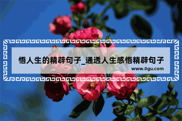 悟人生的精辟句子_通透人生感悟精辟句子