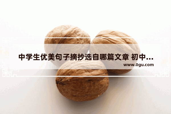 中学生优美句子摘抄选自哪篇文章 初中生喜欢的句子摘抄