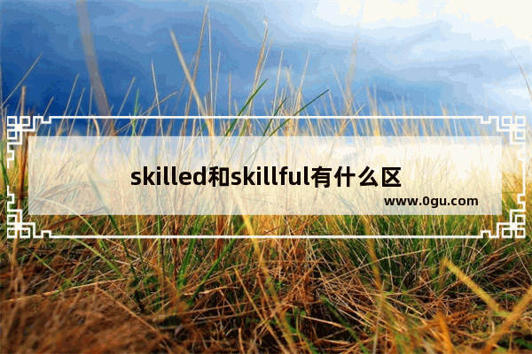 skilled和skillful有什么区别_形容人喜欢做事的句子英语