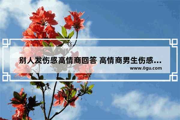 别人发伤感高情商回答 高情商男生伤感的句子长句