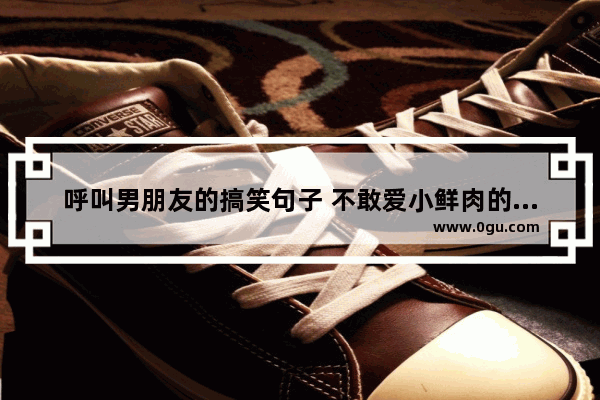 呼叫男朋友的搞笑句子 不敢爱小鲜肉的句子搞笑