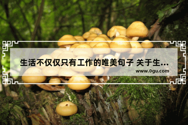 生活不仅仅只有工作的唯美句子 关于生活处事的句子唯美