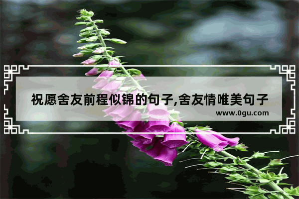 祝愿舍友前程似锦的句子,舍友情唯美句子