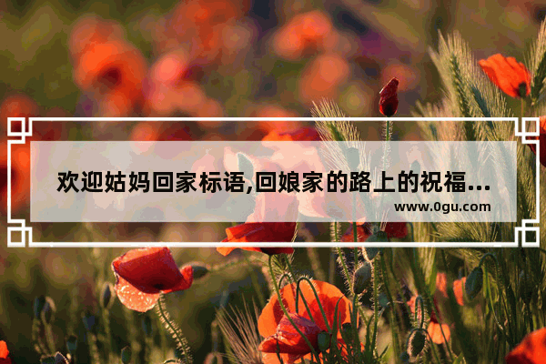欢迎姑妈回家标语,回娘家的路上的祝福句子