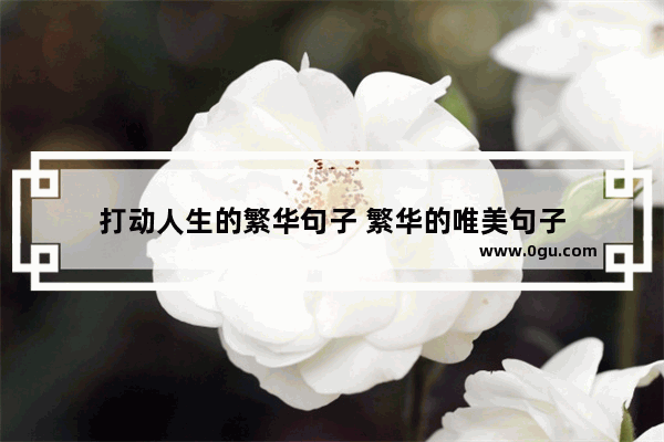 打动人生的繁华句子 繁华的唯美句子