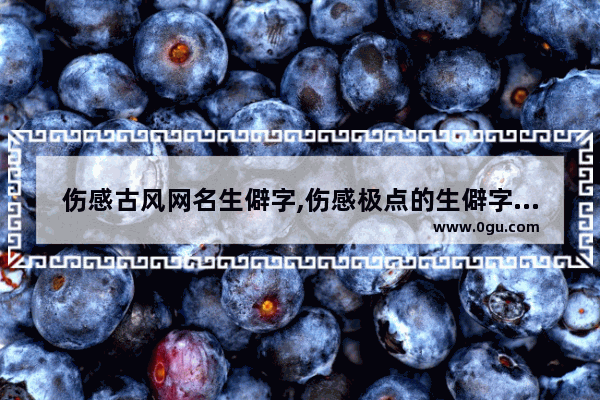伤感古风网名生僻字,伤感极点的生僻字句子