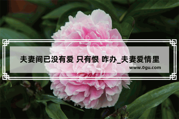 夫妻间已没有爱 只有恨 咋办_夫妻爱情里的失望句子