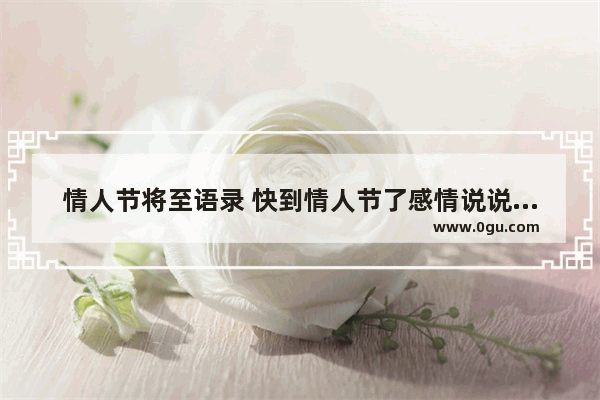 情人节将至语录 快到情人节了感情说说句子