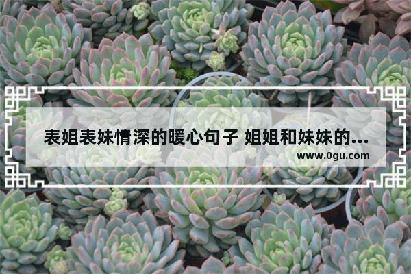 表姐表妹情深的暖心句子 姐姐和妹妹的日常暖心句子