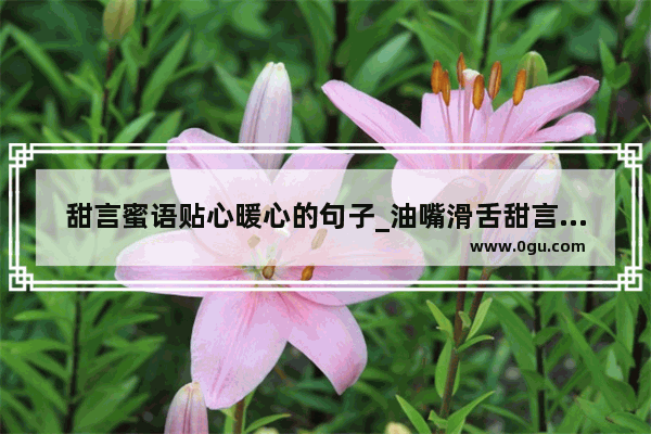 甜言蜜语贴心暖心的句子_油嘴滑舌甜言蜜语的句子
