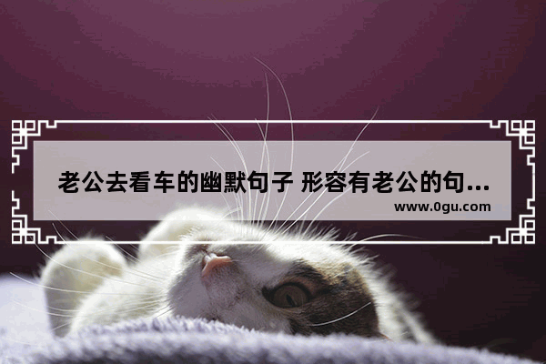 老公去看车的幽默句子 形容有老公的句子搞笑
