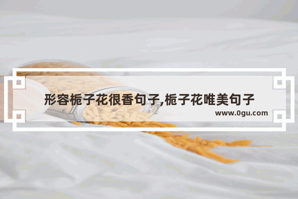 形容栀子花很香句子,栀子花唯美句子