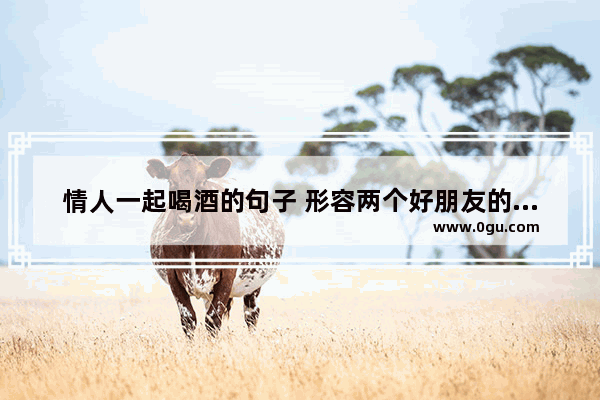 情人一起喝酒的句子 形容两个好朋友的感情句子