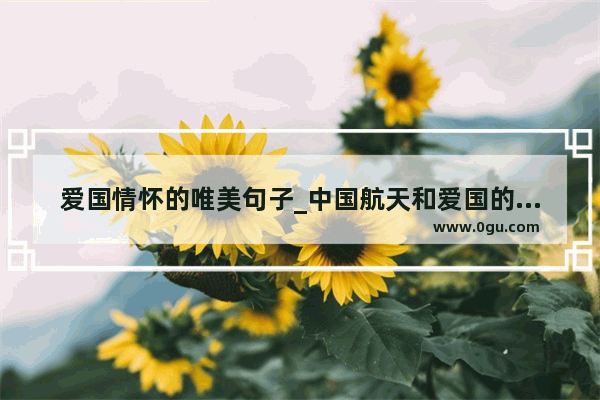 爱国情怀的唯美句子_中国航天和爱国的句子