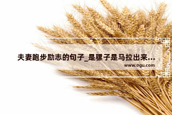 夫妻跑步励志的句子_是骡子是马拉出来溜溜完整句
