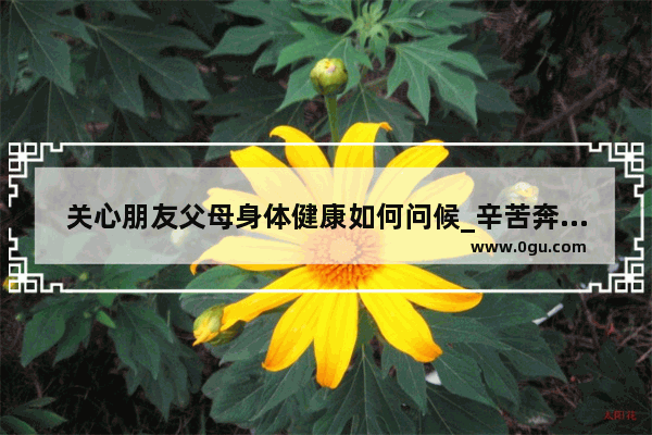 关心朋友父母身体健康如何问候_辛苦奔波的你不忘问父母安好句子