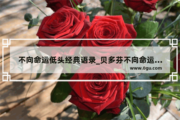 不向命运低头经典语录_贝多芬不向命运低头好词好句