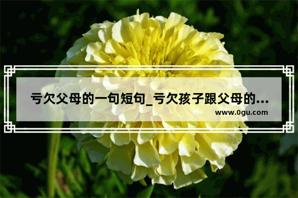 亏欠父母的一句短句_亏欠孩子跟父母的经典语句