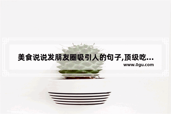 美食说说发朋友圈吸引人的句子,顶级吃货的句子搞笑