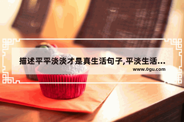 描述平平淡淡才是真生活句子,平淡生活意外收获的句子