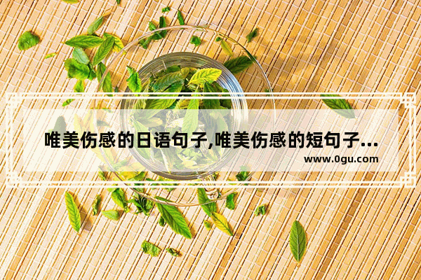 唯美伤感的日语句子,唯美伤感的短句子句句催泪