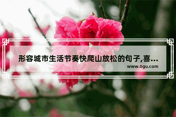 形容城市生活节奏快爬山放松的句子,喜欢慢慢生活节奏的句子