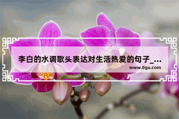 李白的水调歌头表达对生活热爱的句子_水调歌头借什么抒发了丰富而乐观的思想情感