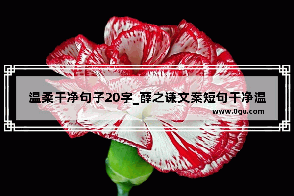 温柔干净句子20字_薛之谦文案短句干净温柔