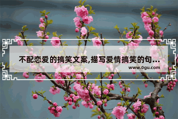 不配恋爱的搞笑文案,描写爱情搞笑的句子唯美