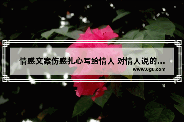 情感文案伤感扎心写给情人 对情人说的伤感的句子