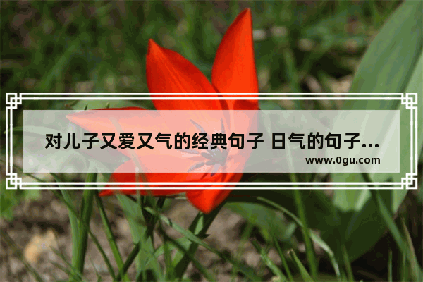 对儿子又爱又气的经典句子 日气的句子说说心情