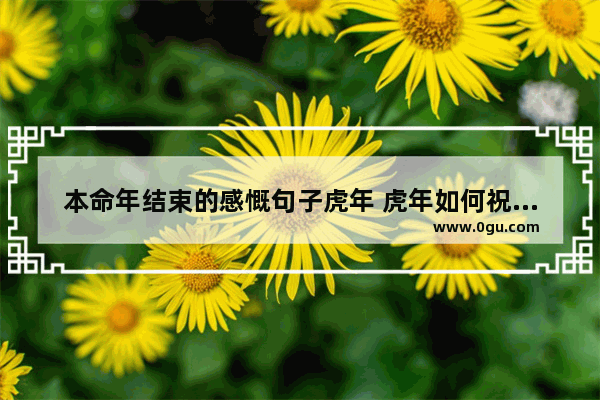 本命年结束的感慨句子虎年 虎年如何祝福人脱单句子