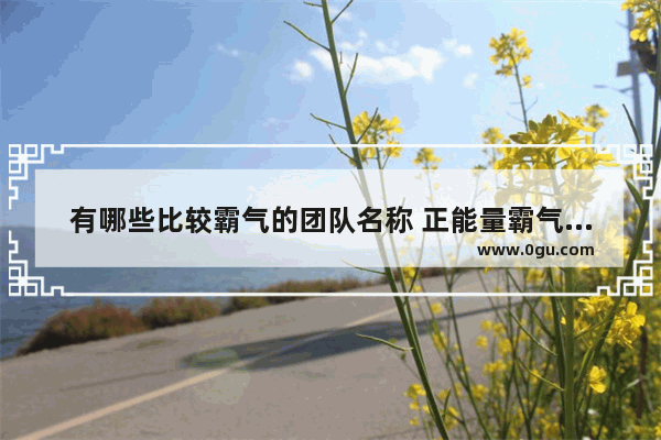 有哪些比较霸气的团队名称 正能量霸气的工作句子短句