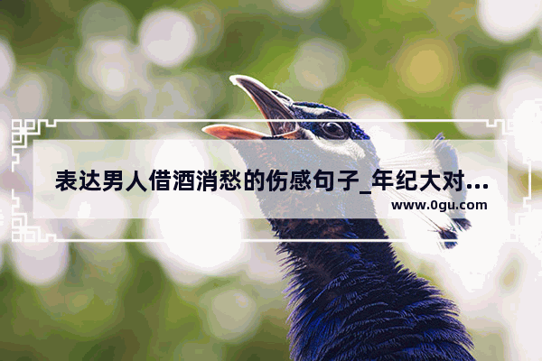 表达男人借酒消愁的伤感句子_年纪大对感情压力大的句子