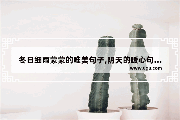冬日细雨蒙蒙的唯美句子,阴天的暖心句子朋友圈