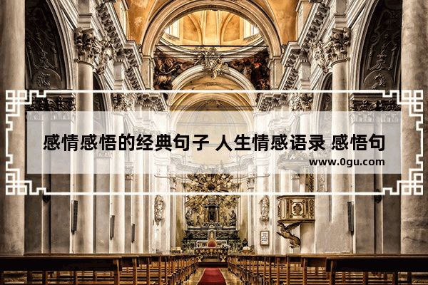 感情感悟的经典句子 人生情感语录 感悟句子