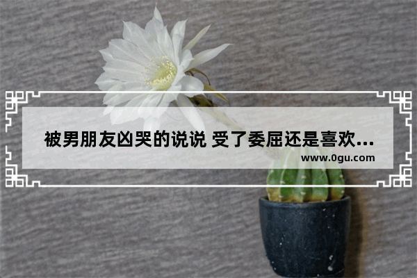 被男朋友凶哭的说说 受了委屈还是喜欢哭的句子