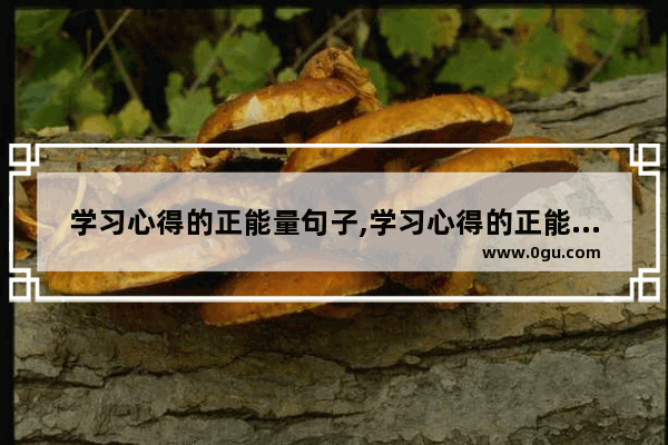 学习心得的正能量句子,学习心得的正能量句子