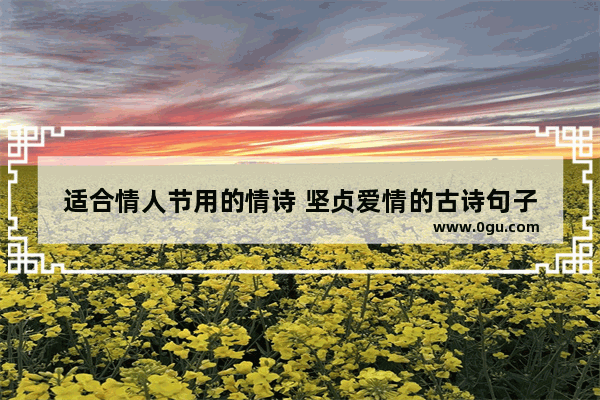 适合情人节用的情诗 坚贞爱情的古诗句子