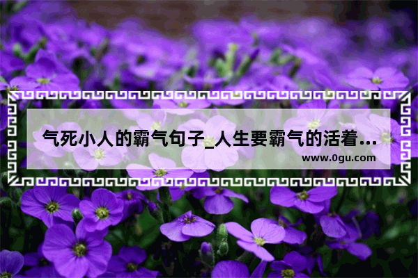 气死小人的霸气句子_人生要霸气的活着句子