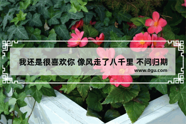 我还是很喜欢你 像风走了八千里 不问归期是什么意思 喜欢风的句子