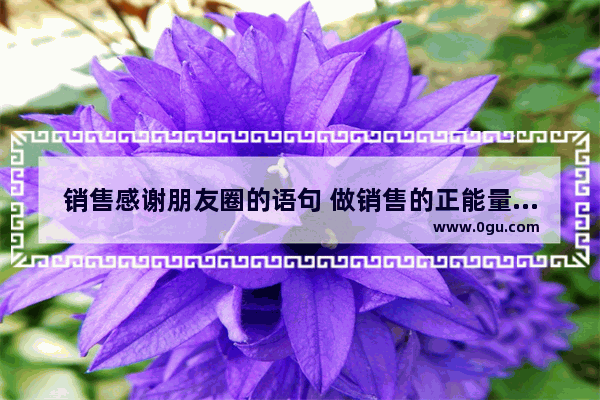 销售感谢朋友圈的语句 做销售的正能量心态句子