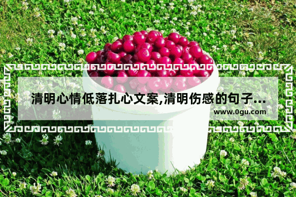 清明心情低落扎心文案,清明伤感的句子发朋友圈